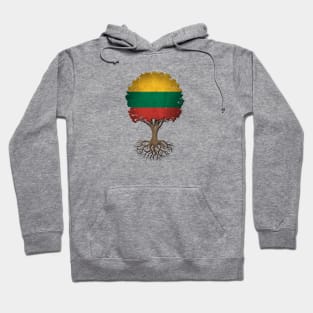 Tree of Life with Lithuanian Flag Hoodie